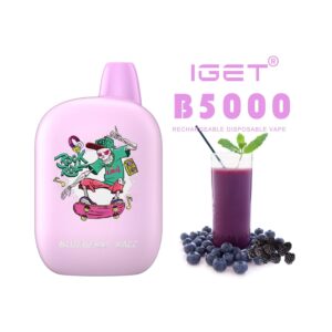 iGET B5000 VAPE 5000 PUFF – BLUEBERRY RAZZ